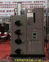 麗水生物質蒸汽發生器
