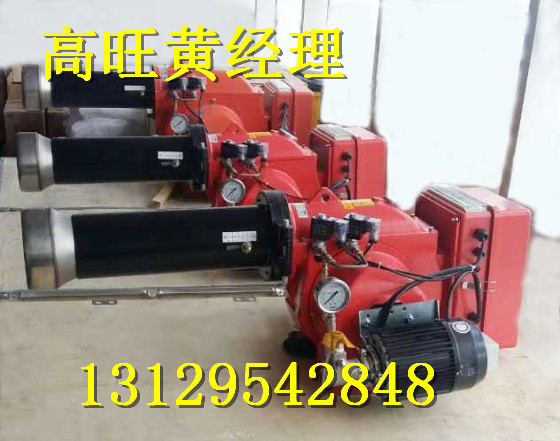 獨家供應工業鍋爐燃燒機環保節能全國發貨