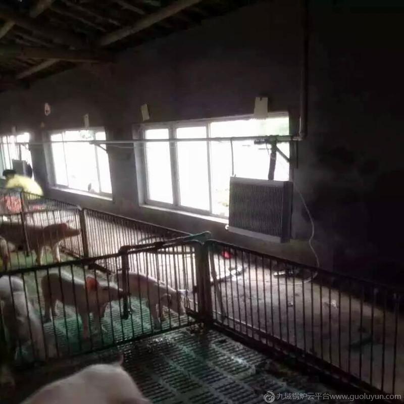 供應遼寧反燒養(yǎng)殖鍋爐廠,反燒養(yǎng)豬地暖鍋爐報價低