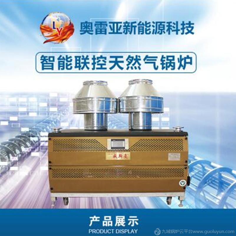0.3噸智能聯控鋼制模塊燃氣鍋爐 燃氣熱水鍋爐 燃氣取暖鍋爐 中美技術